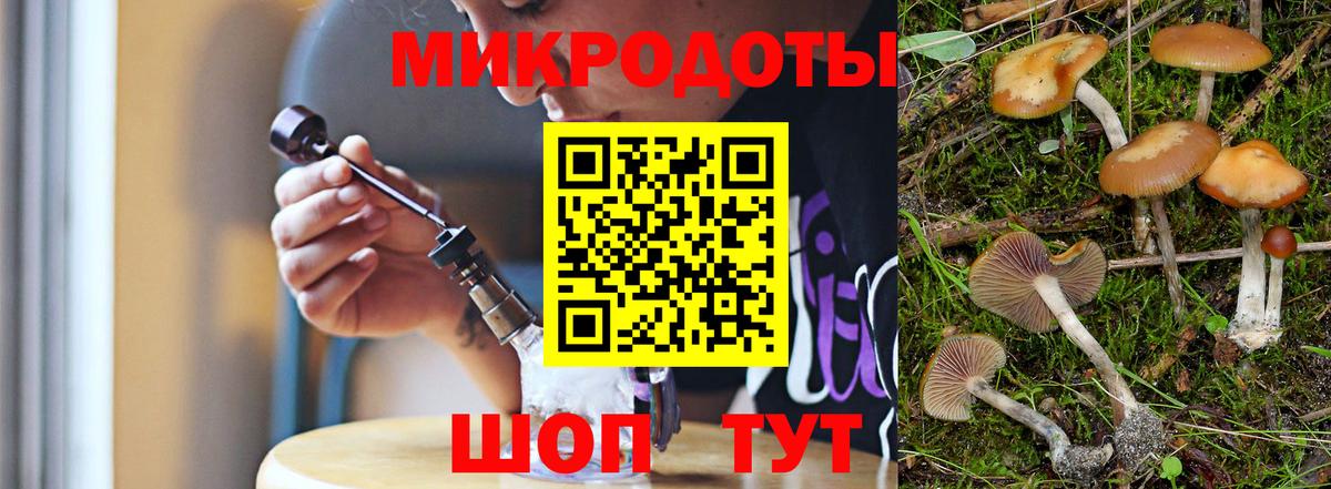 Галлюциногенные грибы ЛСД  Вход с VPN  Каменка 
